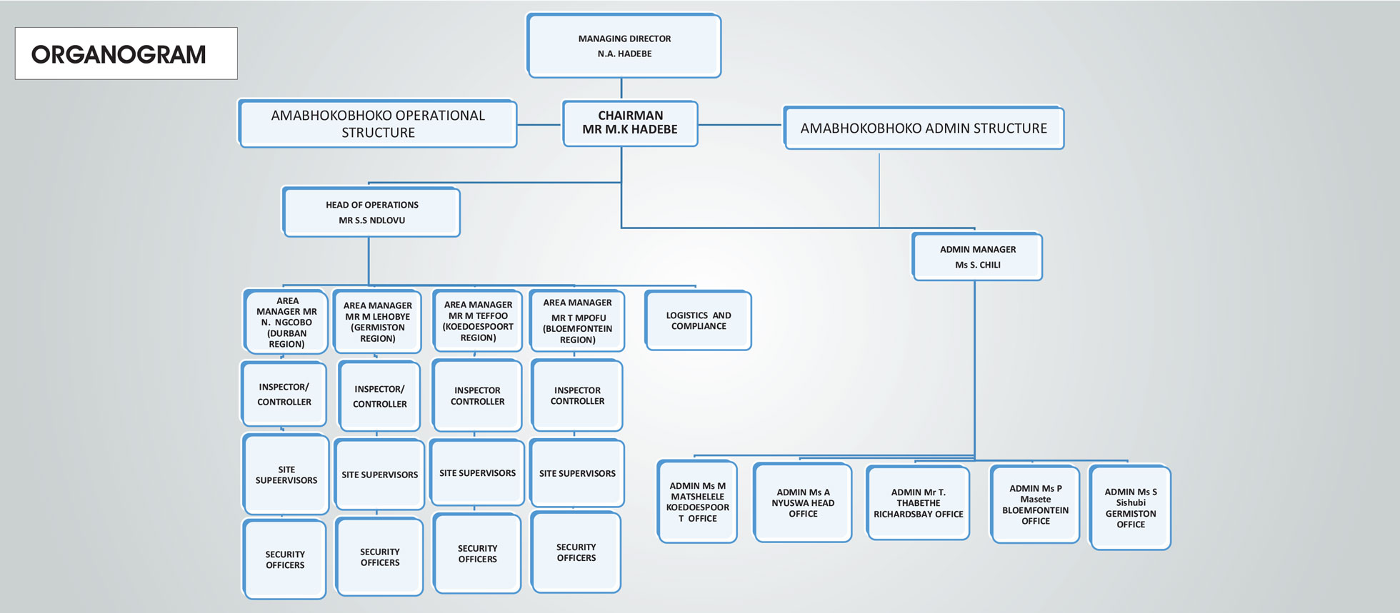 Amabhokobhoko-Organogram